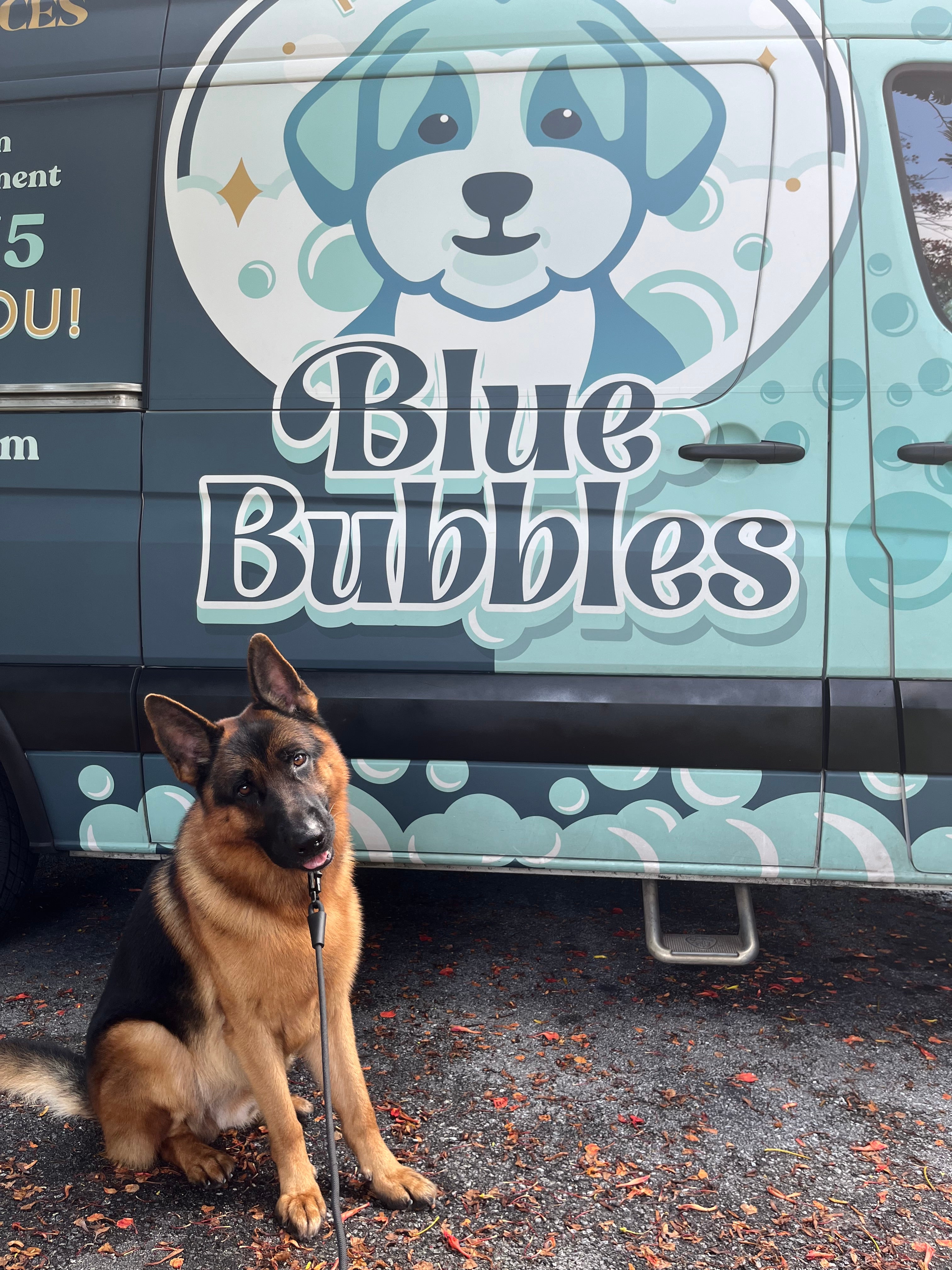 Bubbles pet deals salon and spa